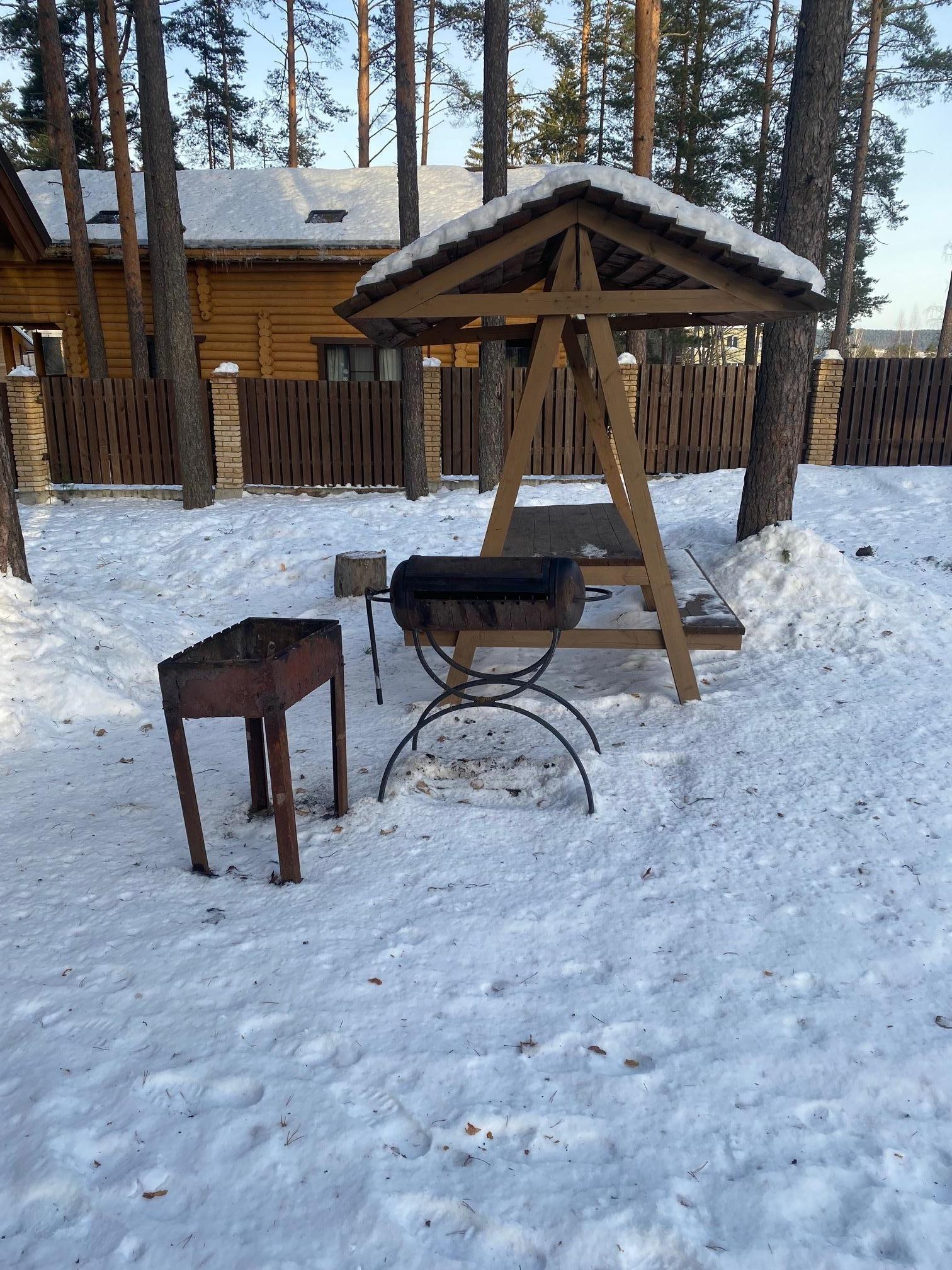 Фото Брусника