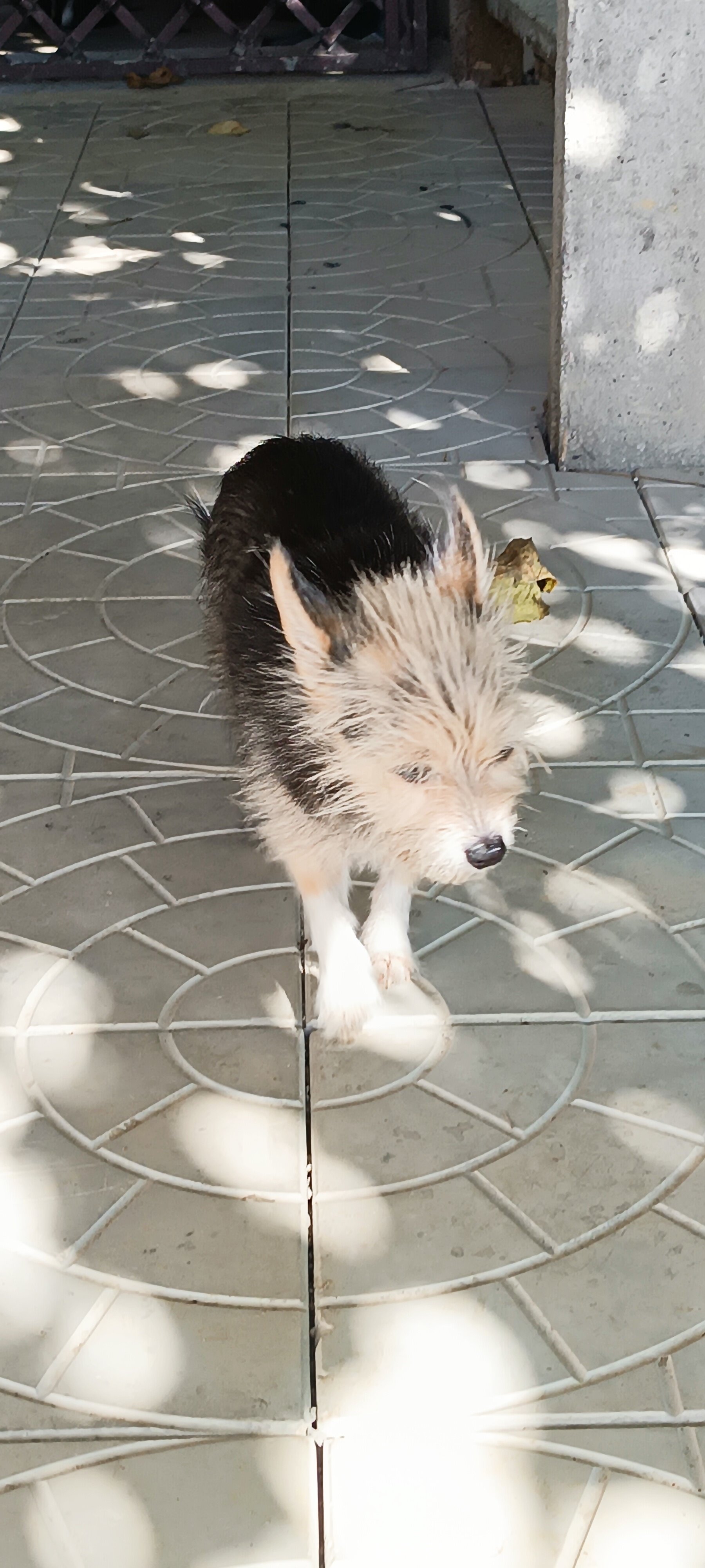 Фото Villa Familia