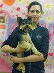 Gruming salon V Dubne Master Sobakin (Bogolubova Avenue, 43), pet salon