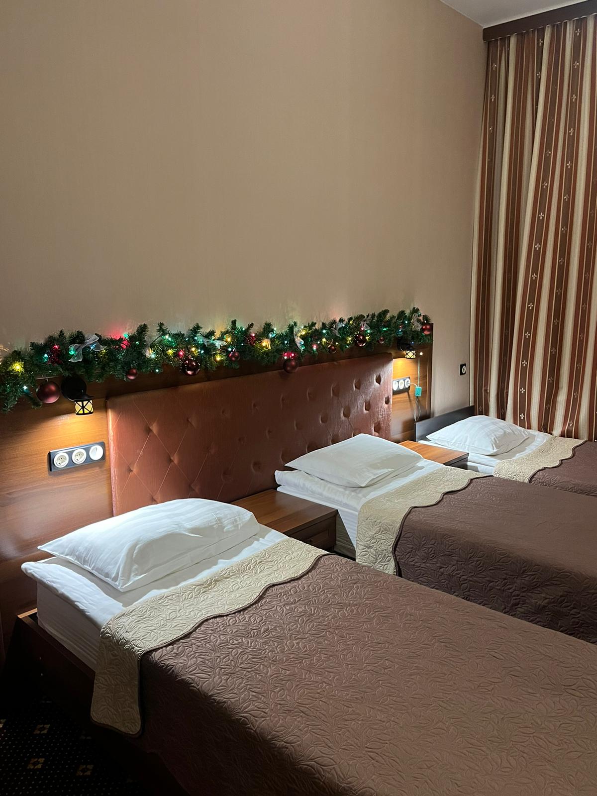 Фото My Favourite Garden