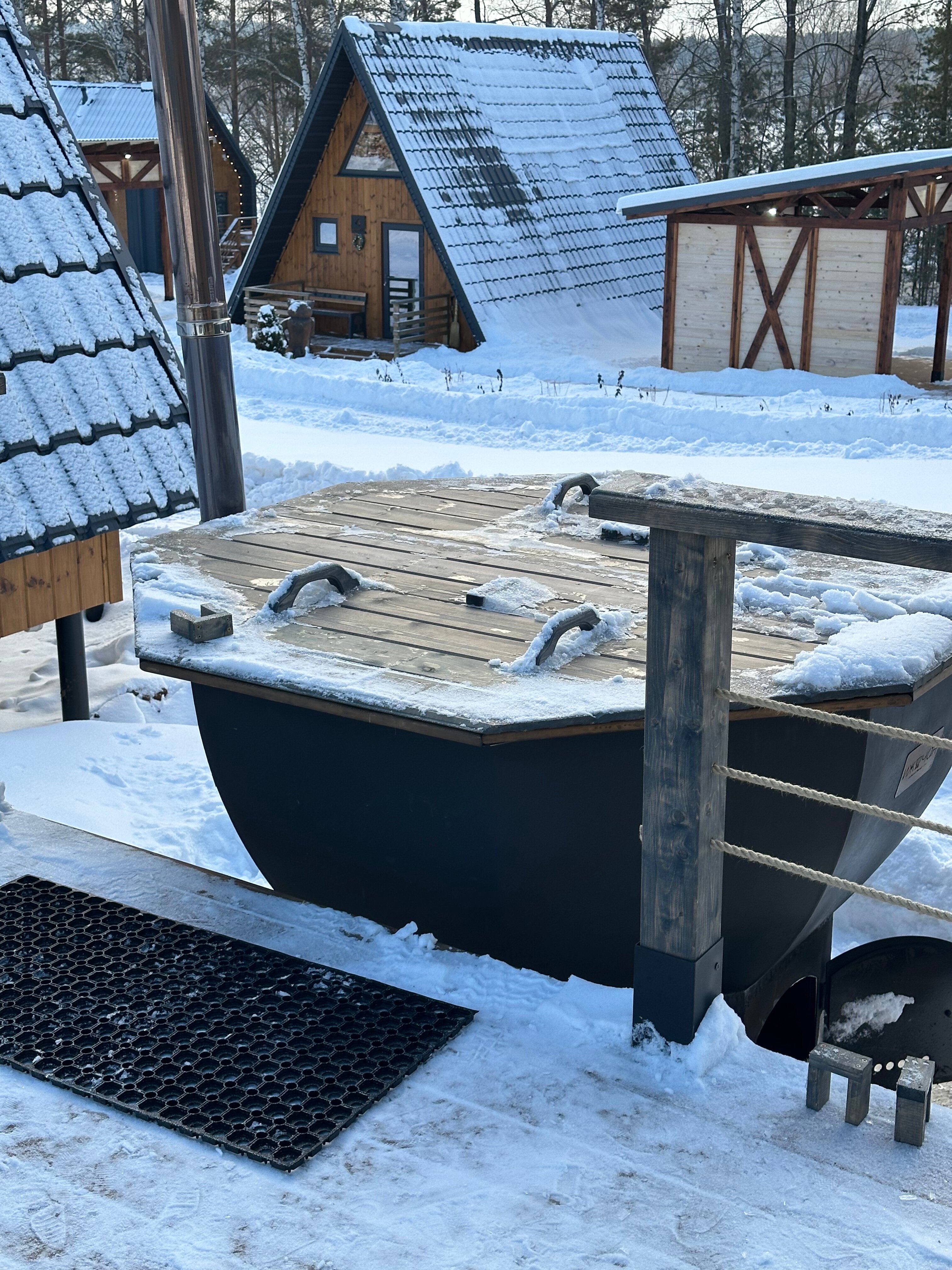 Фото Караси