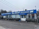 Алато Cordiant Professional (posyolok Ozyorny, Sosnovaya ulitsa, 1Б), neumáticos y llantas