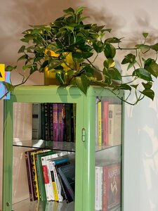 Хостел NETIZEN Moscow Rimskaya