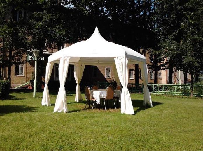 Фото Адонис