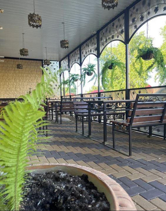 Фото Барракуда