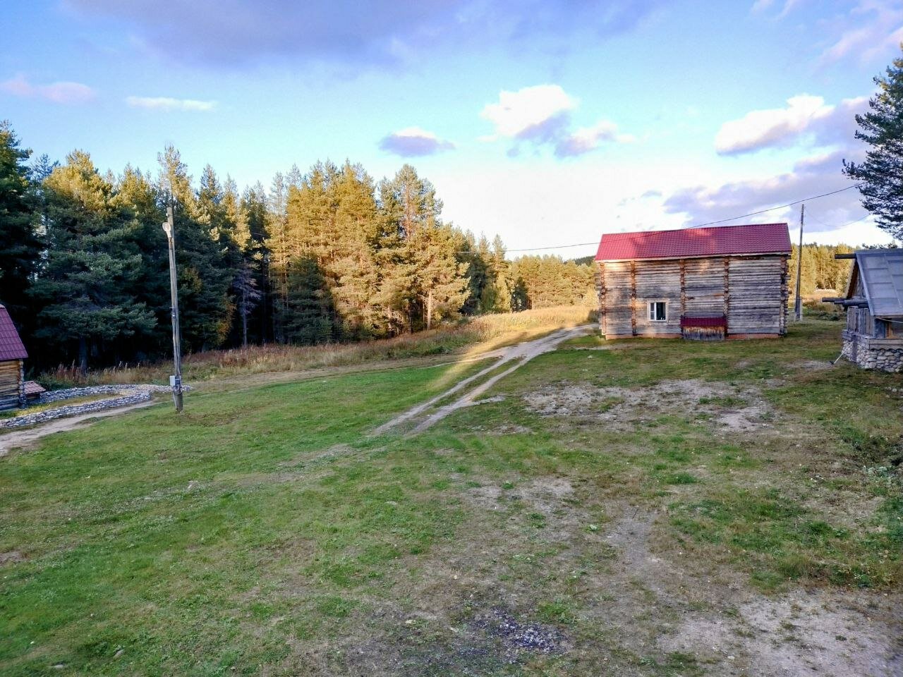 Фото Лось&Мох