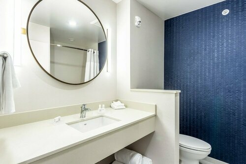 Гостиница Fairfield Inn & Suites by Marriott Dallas Dfw Airport North/Coppell Grapevine в Грейпвайне