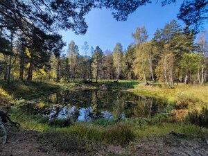 Григорьевский железный рудник (Sverdlovsk Region, Sysertskiy gorodskoy okrug), landmark, attraction