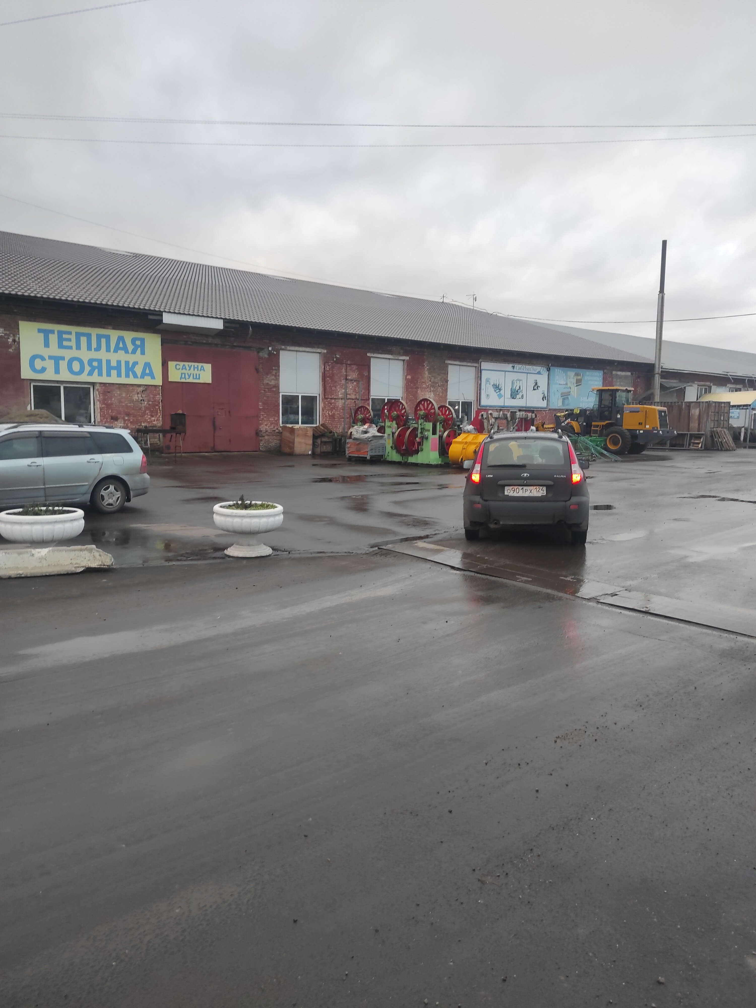 Фото Медведь