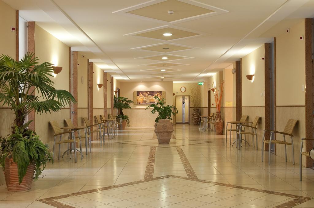 Фото Hotel Harry´s Garden