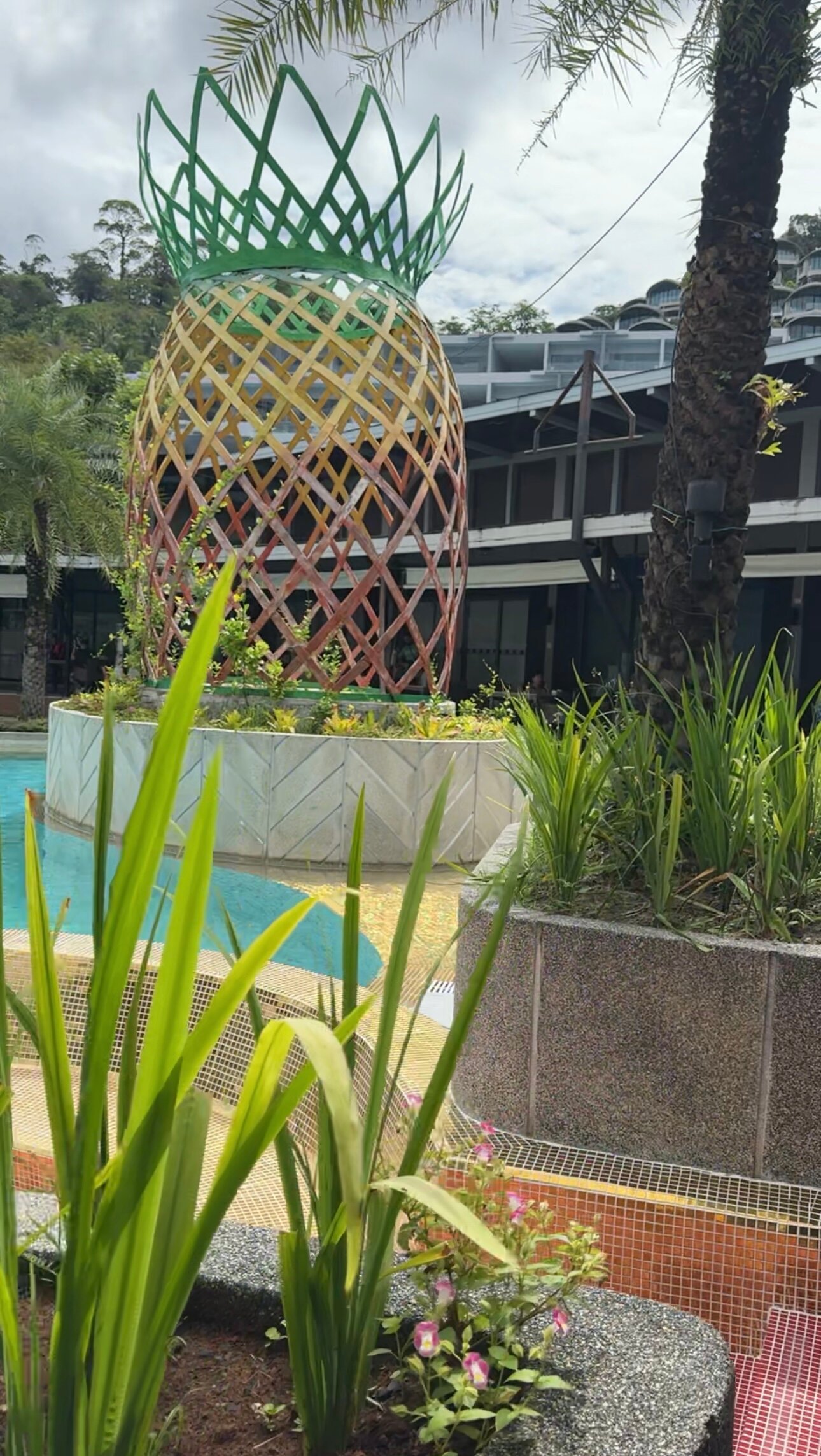 Фото Patong Bay Hill Resort