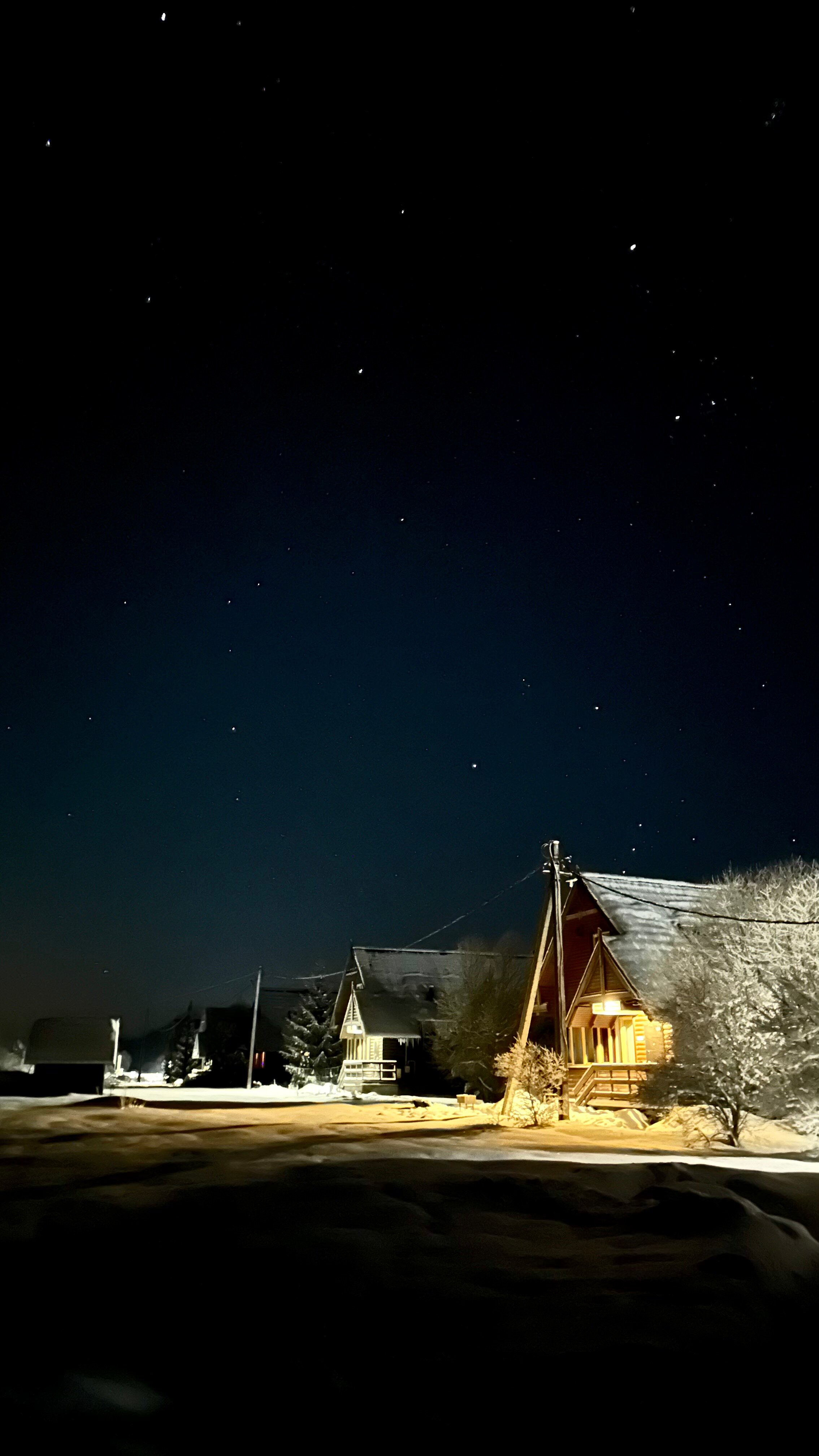 Фото Медведица