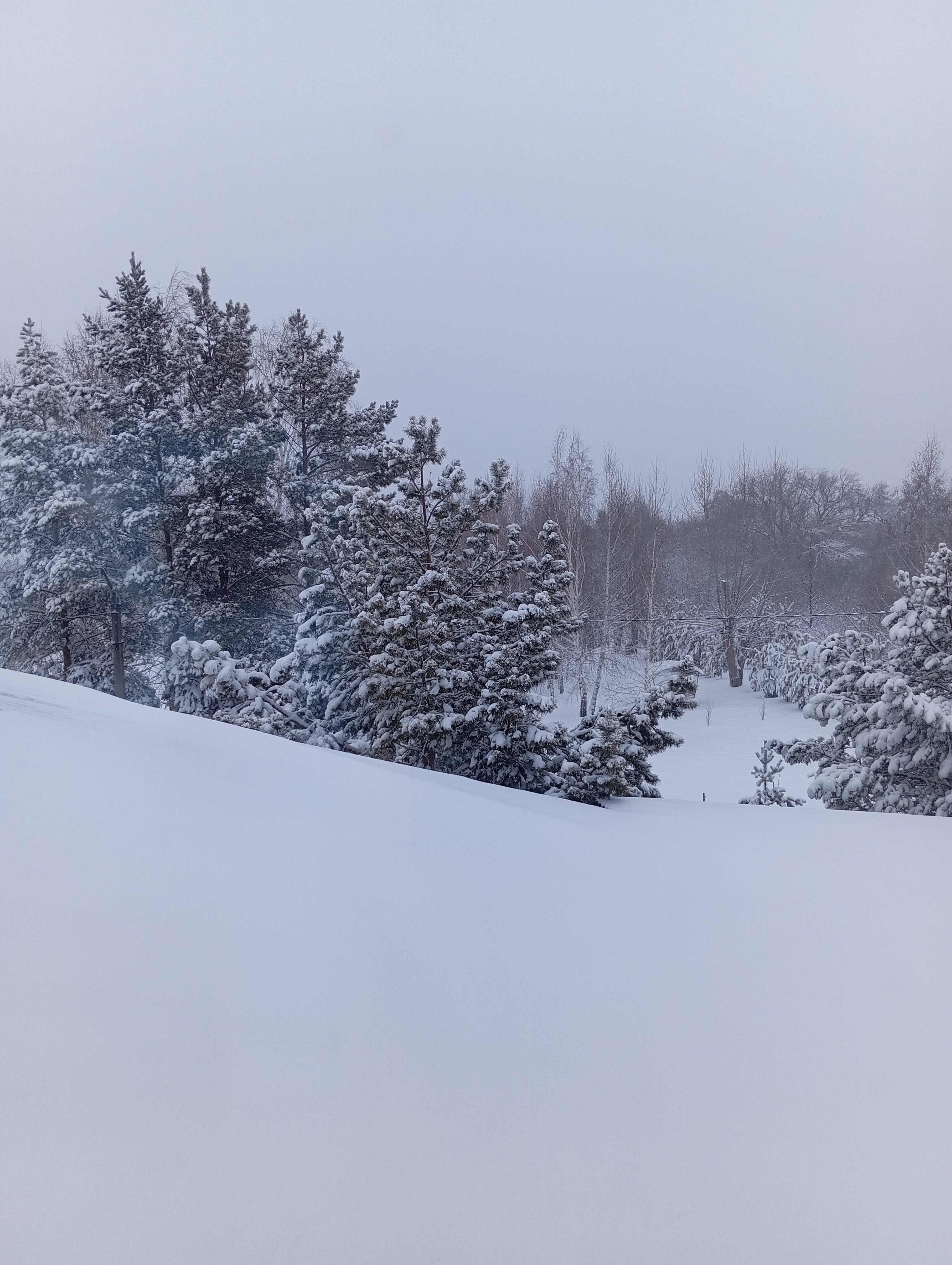 Фото Здравница Зауралья