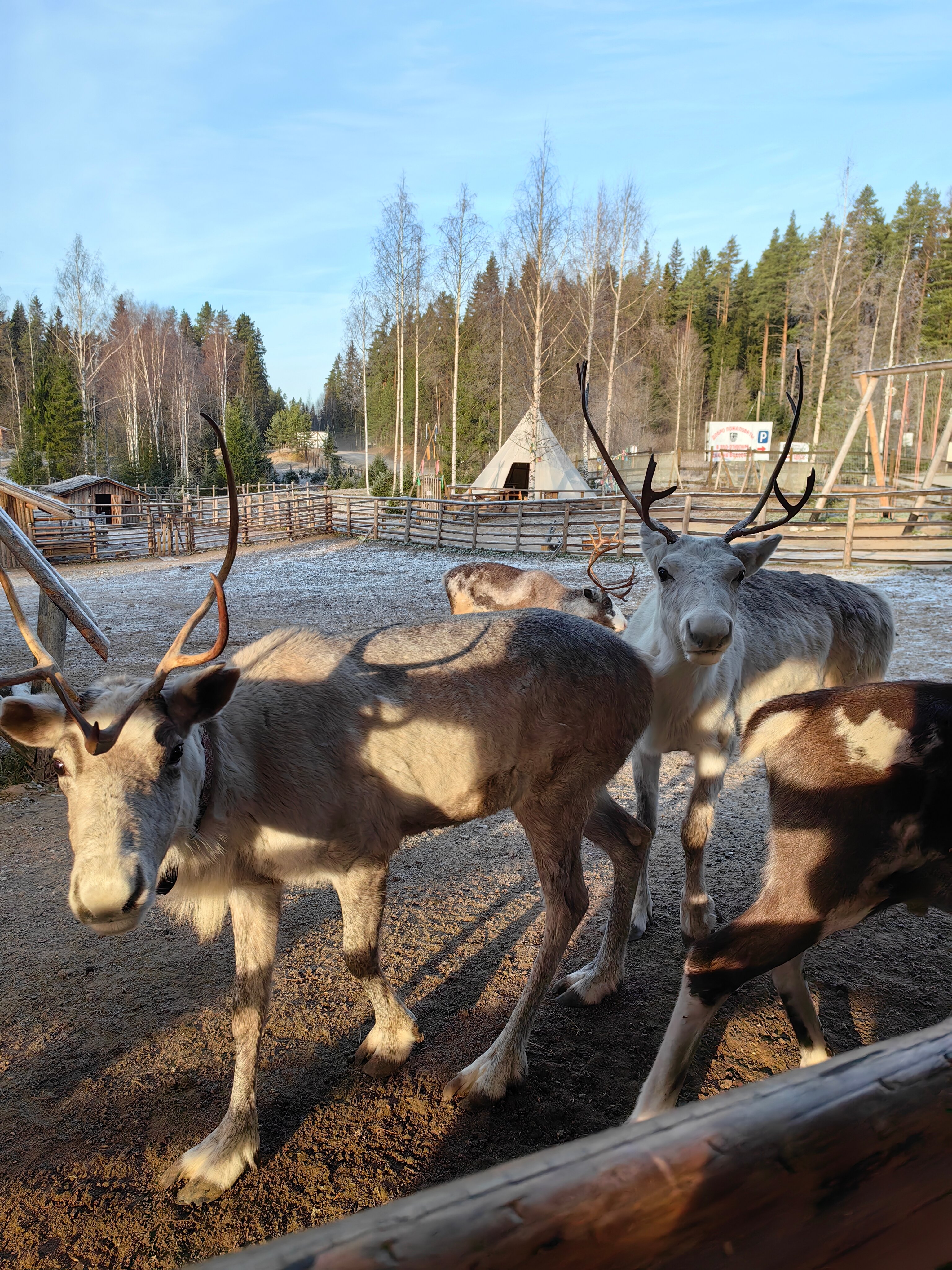 Фото Лумиваара