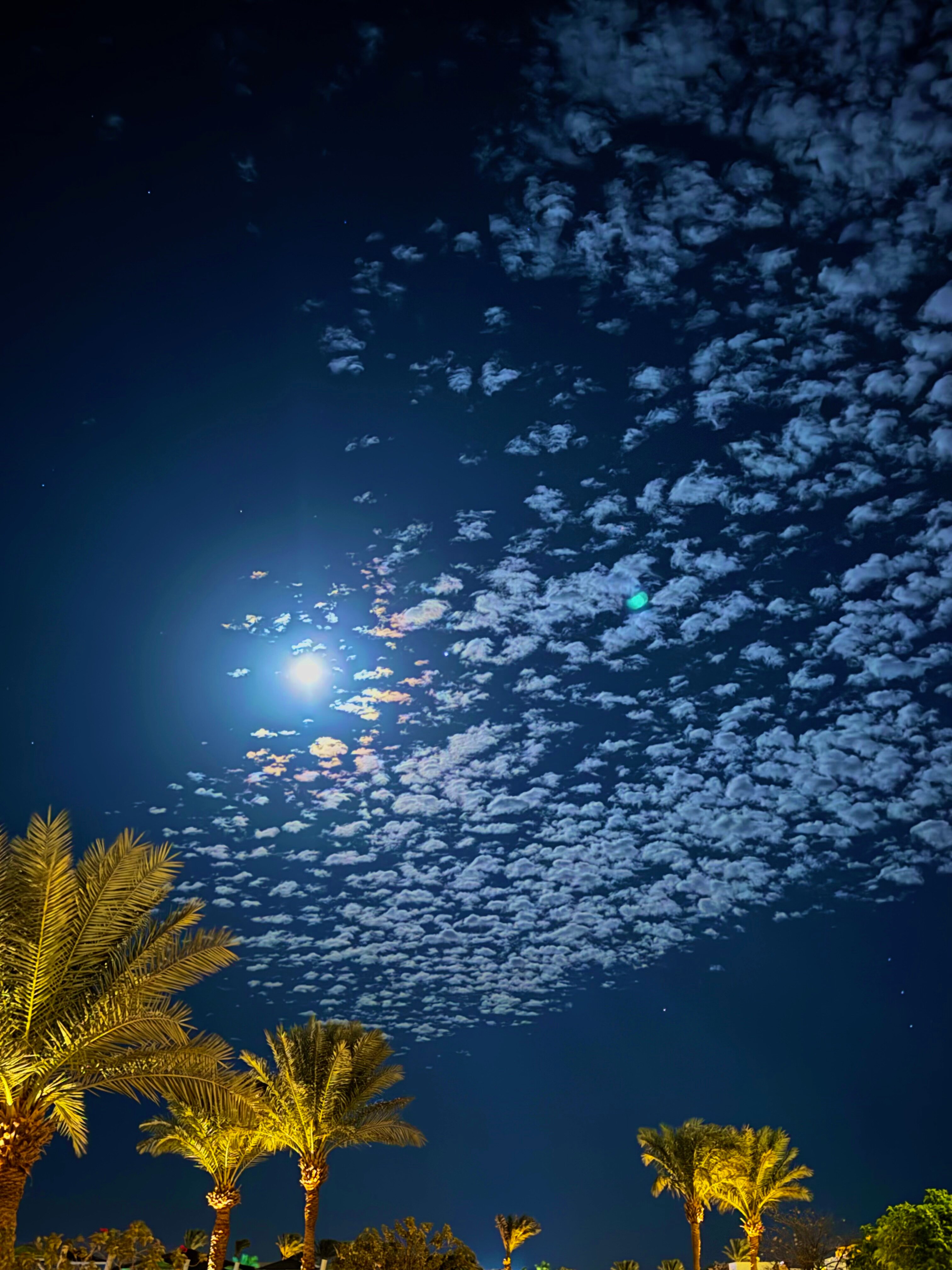 Фото Movenpick Waterpark Resort & SPA Soma Bay