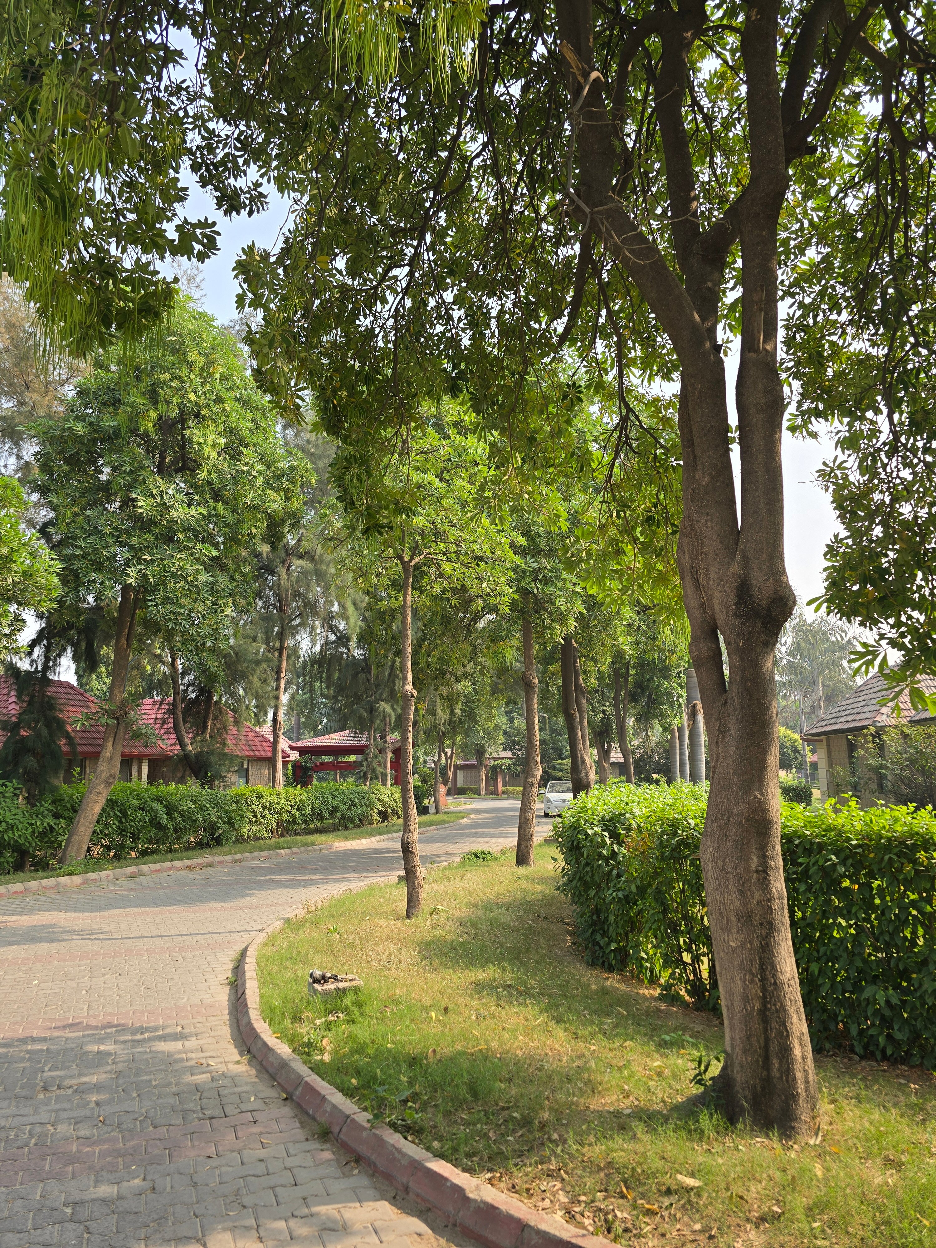 Фото Shri Radha Brij Vasundhara Resort & SPA