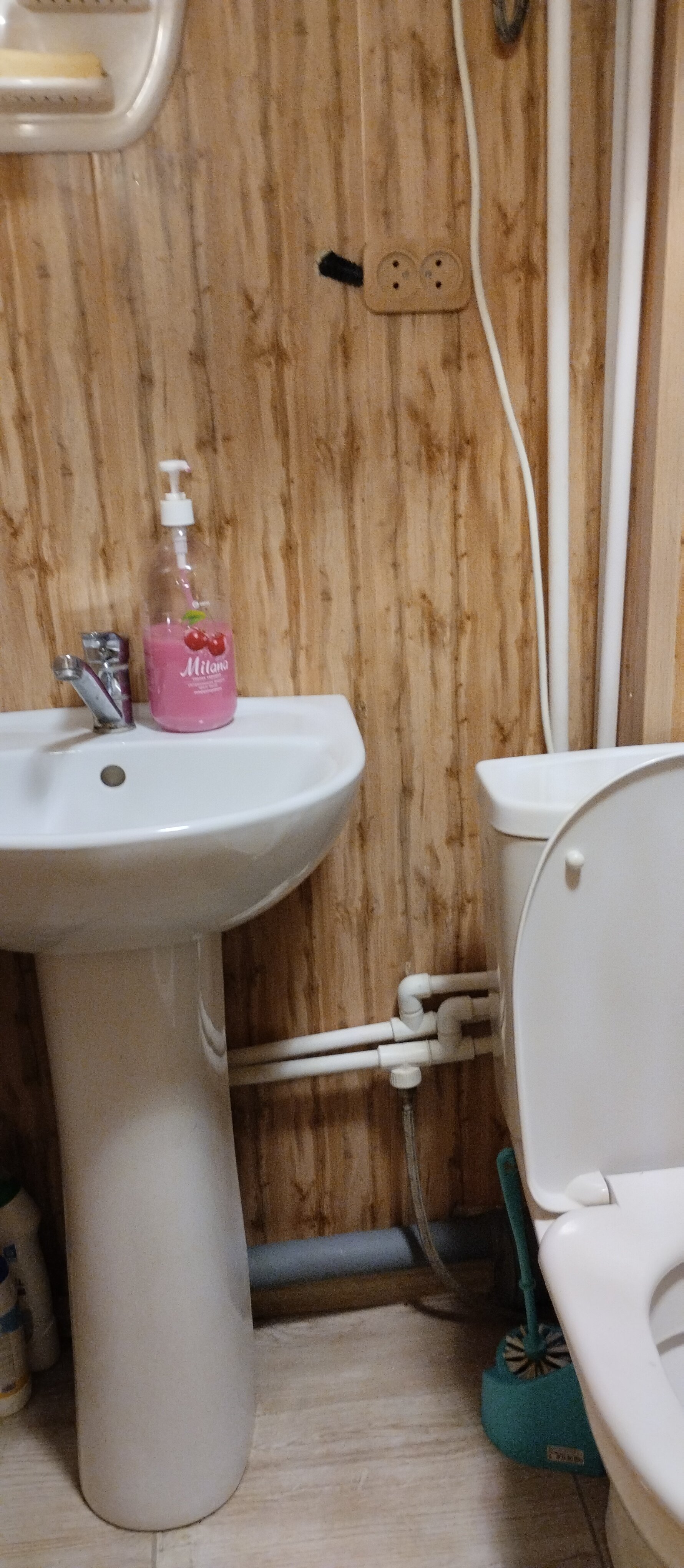 Фото Львиное сердце