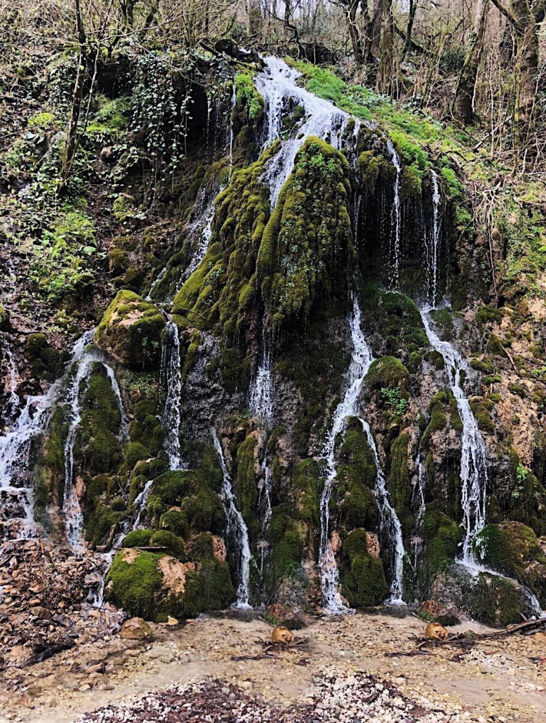 Фото Эко ферма Гуляй Поле