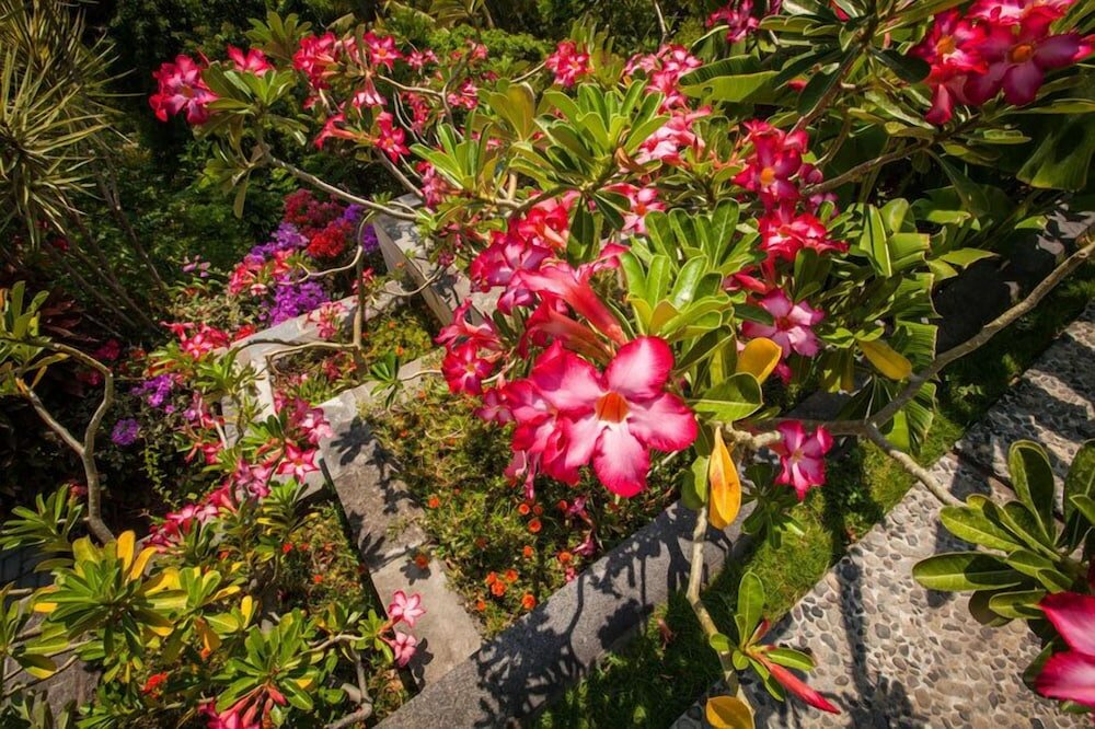 Фото Zen Resort Bali