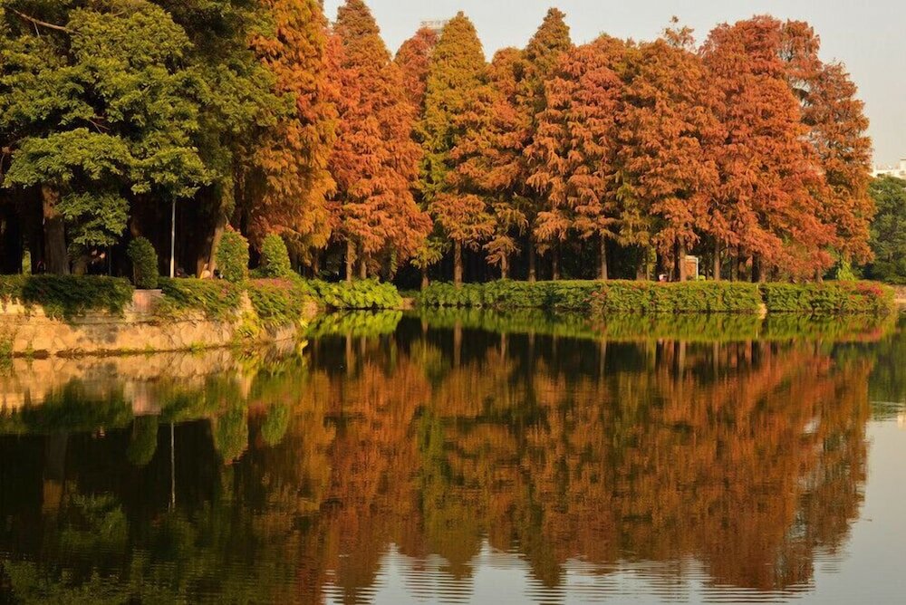 Фото Guangzhou Compass Hotel