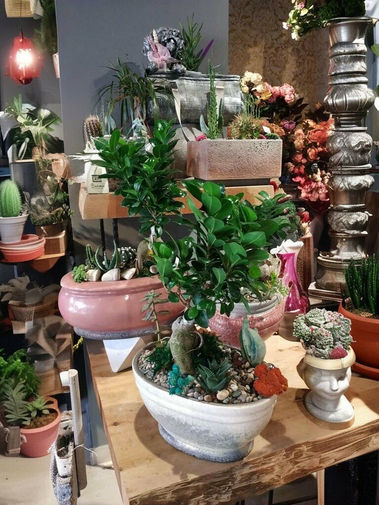 Flower shop Lotus Flower Design Decoration, Balikesir, photo