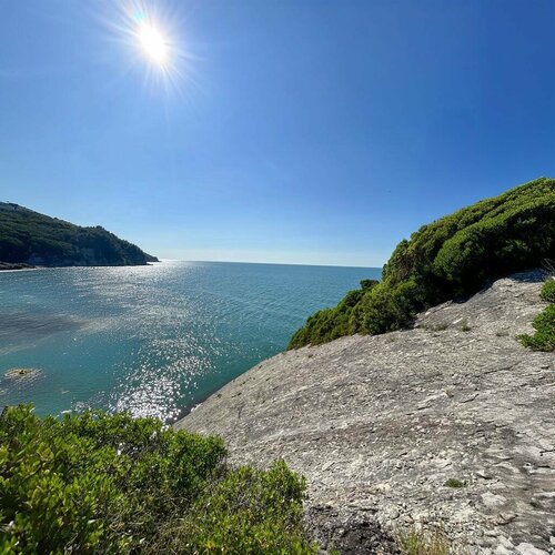 Mosque Kapisuyu Village Mosque, Kurucasile, photo