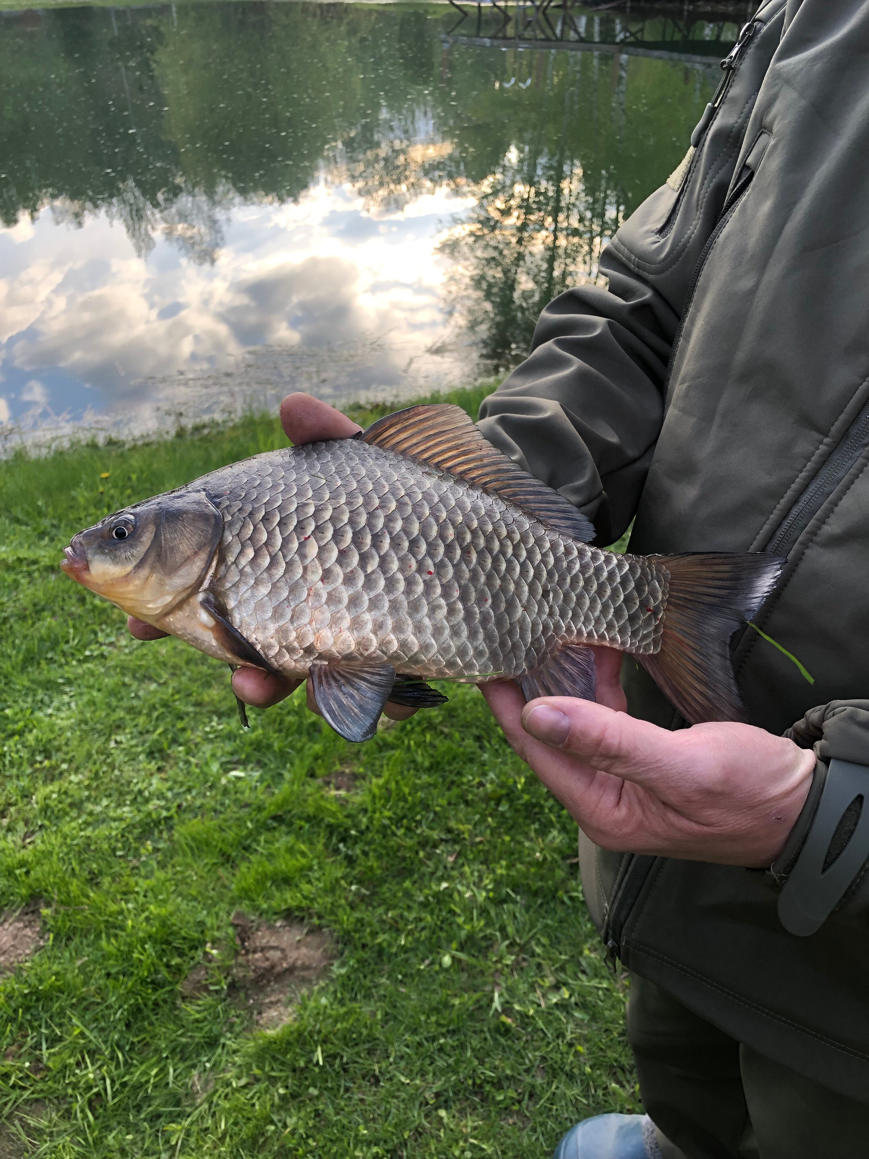 Фото Поместье