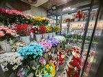 Rose Flower Shop (ulitsa Sakhyanovoy, 7Б/2), flower shop