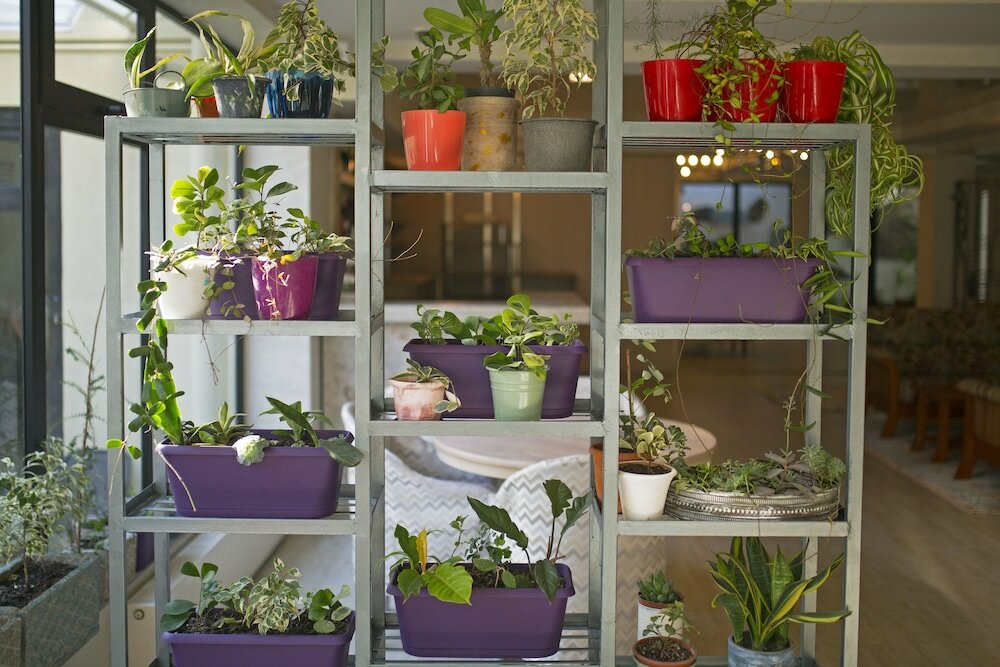 Фото Hotel Kenari