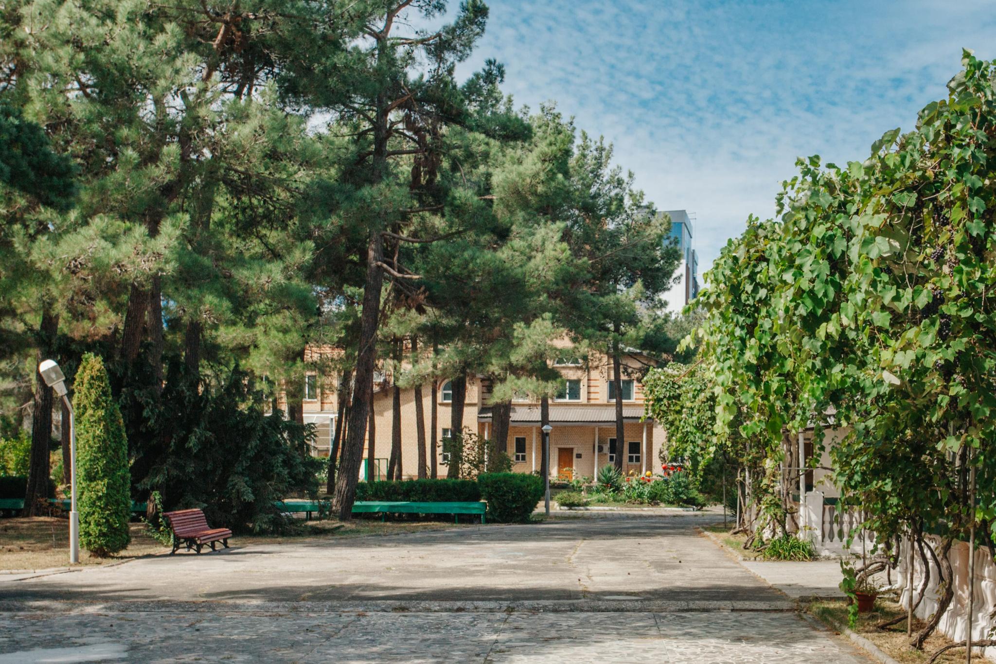 Фото Спутник