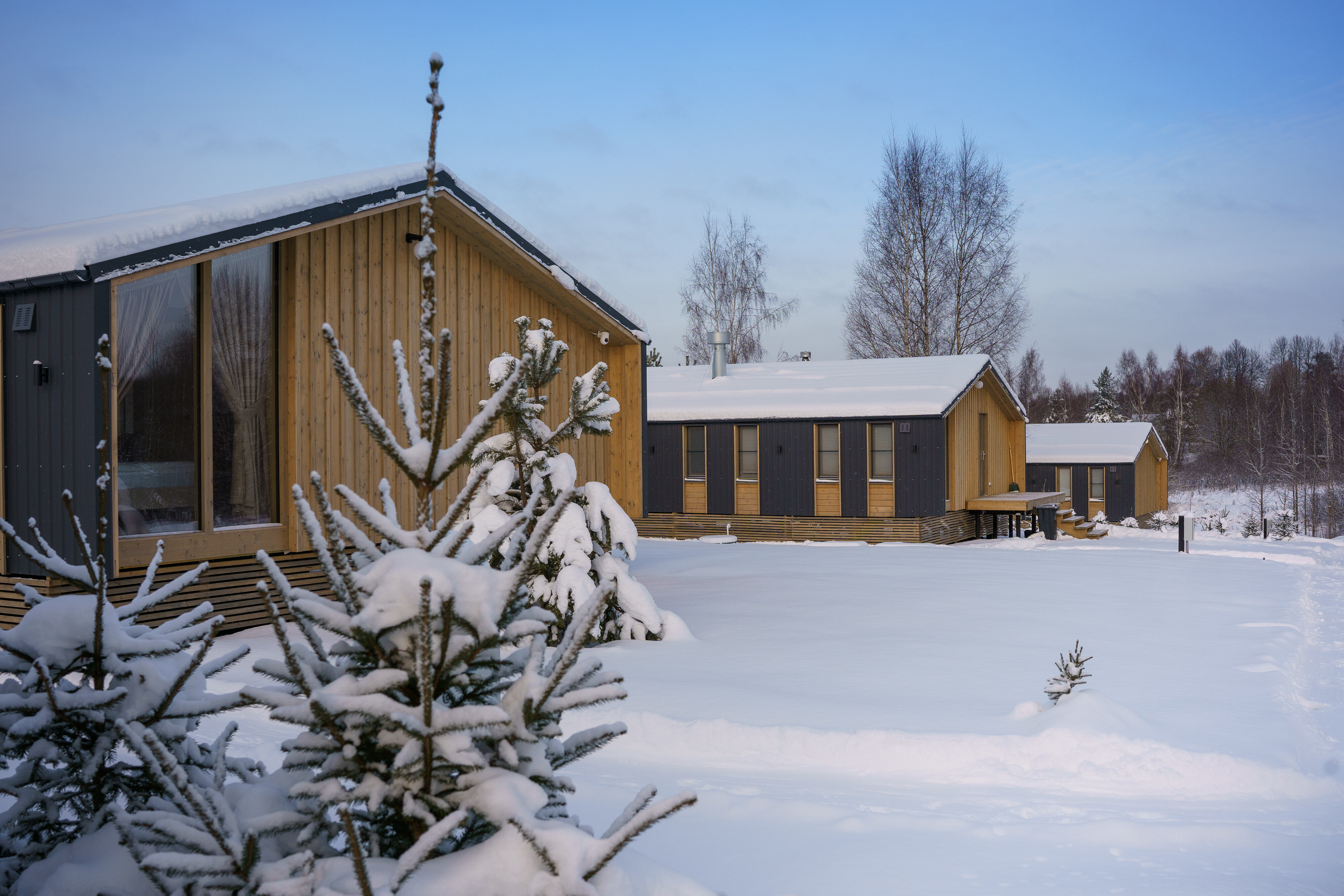 Фото Оазис Завидово