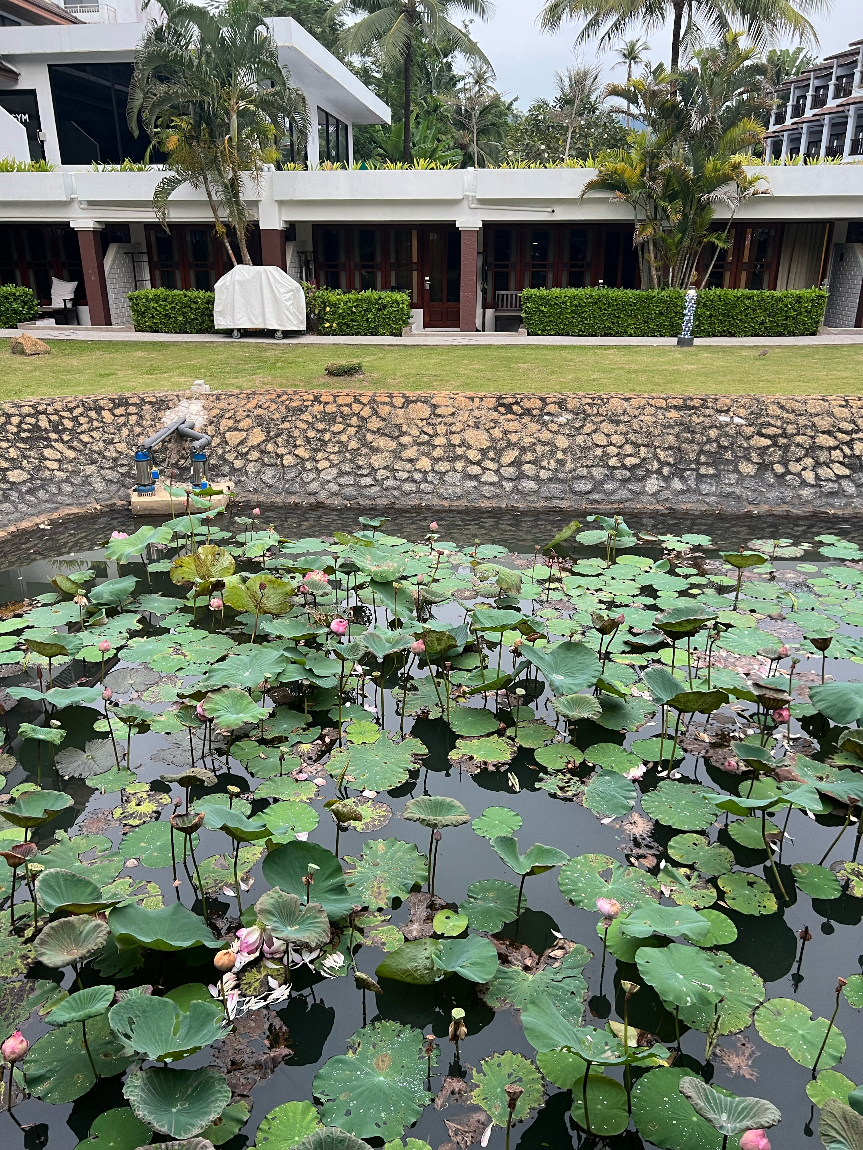 Фото Sunwing Kamala Beach