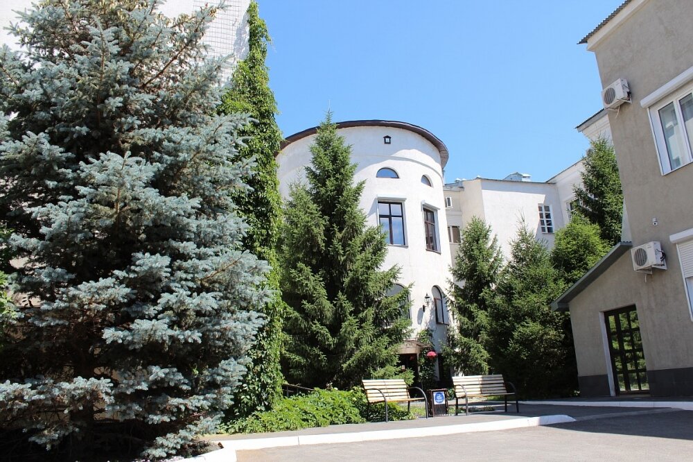 Фото Золотой слон