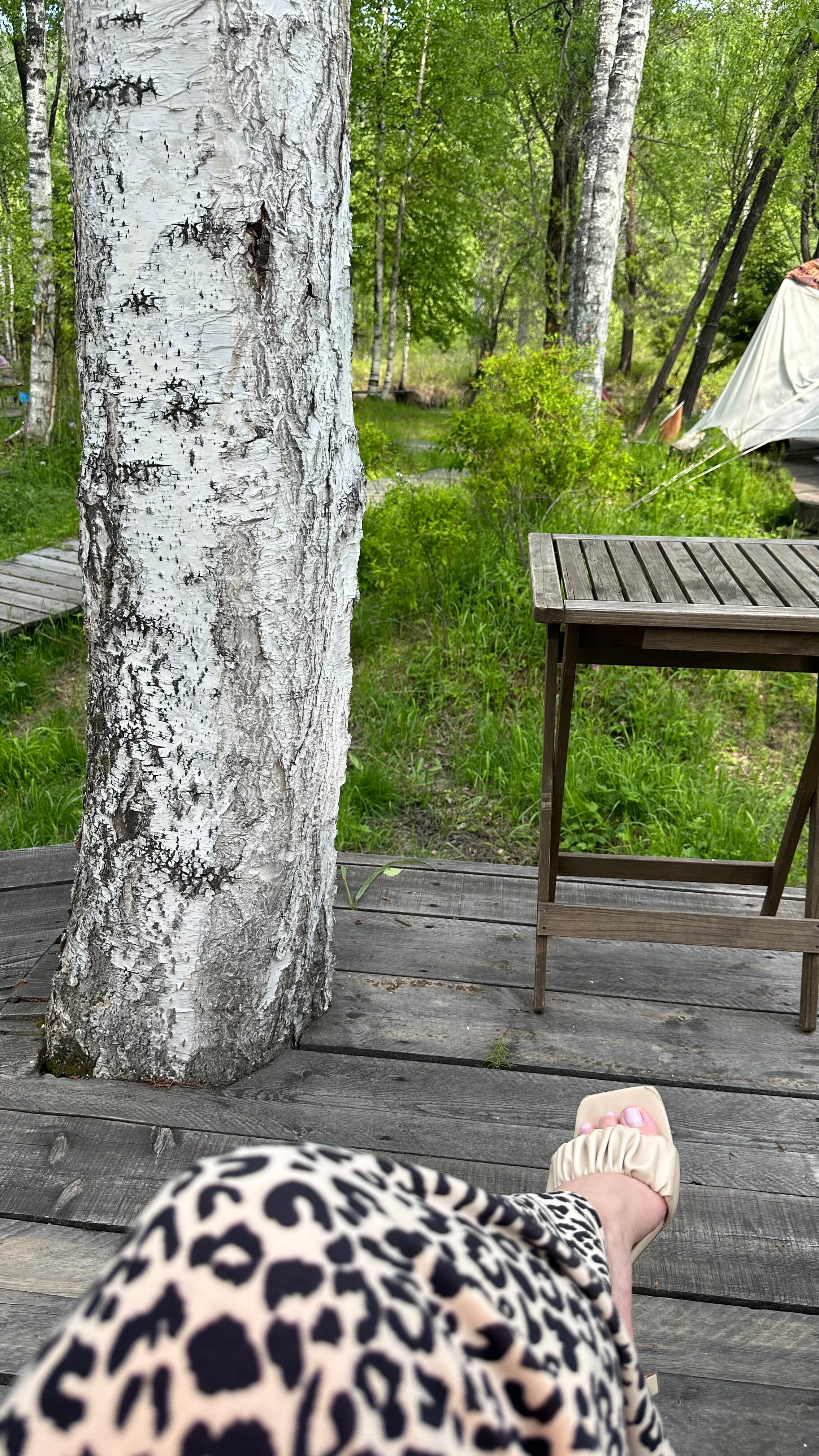 Фото Долина Мечтателей