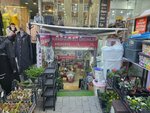 Millionaire (İstanbul, Çekmeköy, Nişantepe Mah., Küme Evler Sok., 47) ، بقالة