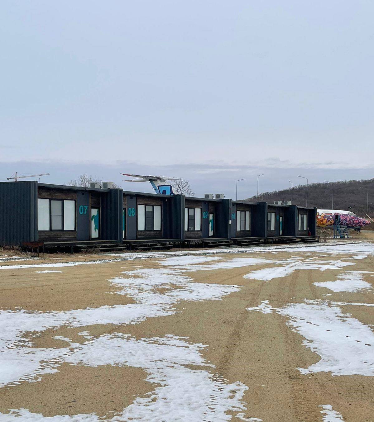 Фото Лазурная черепаха