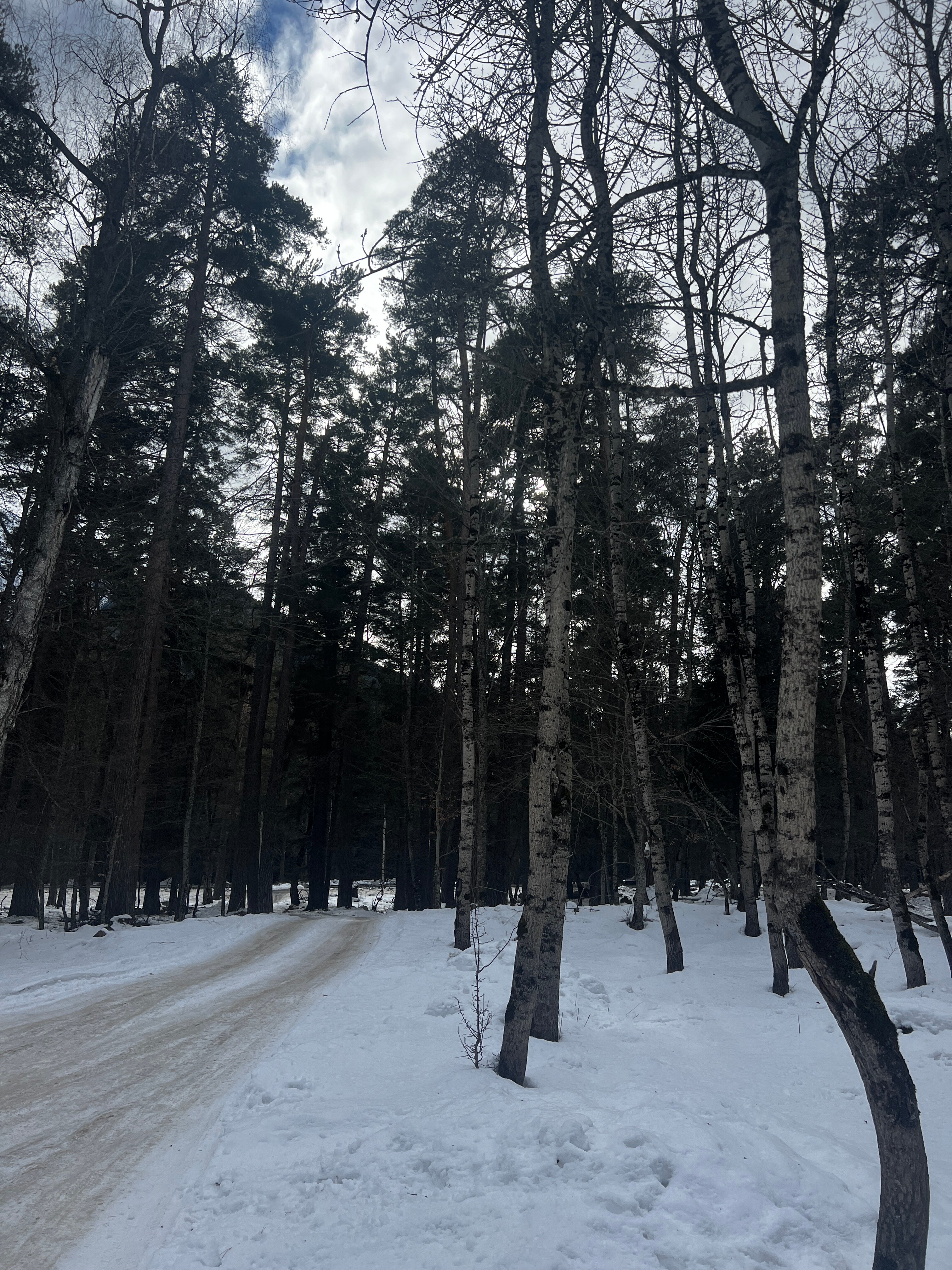 Фото Гостевые домики ZaKat