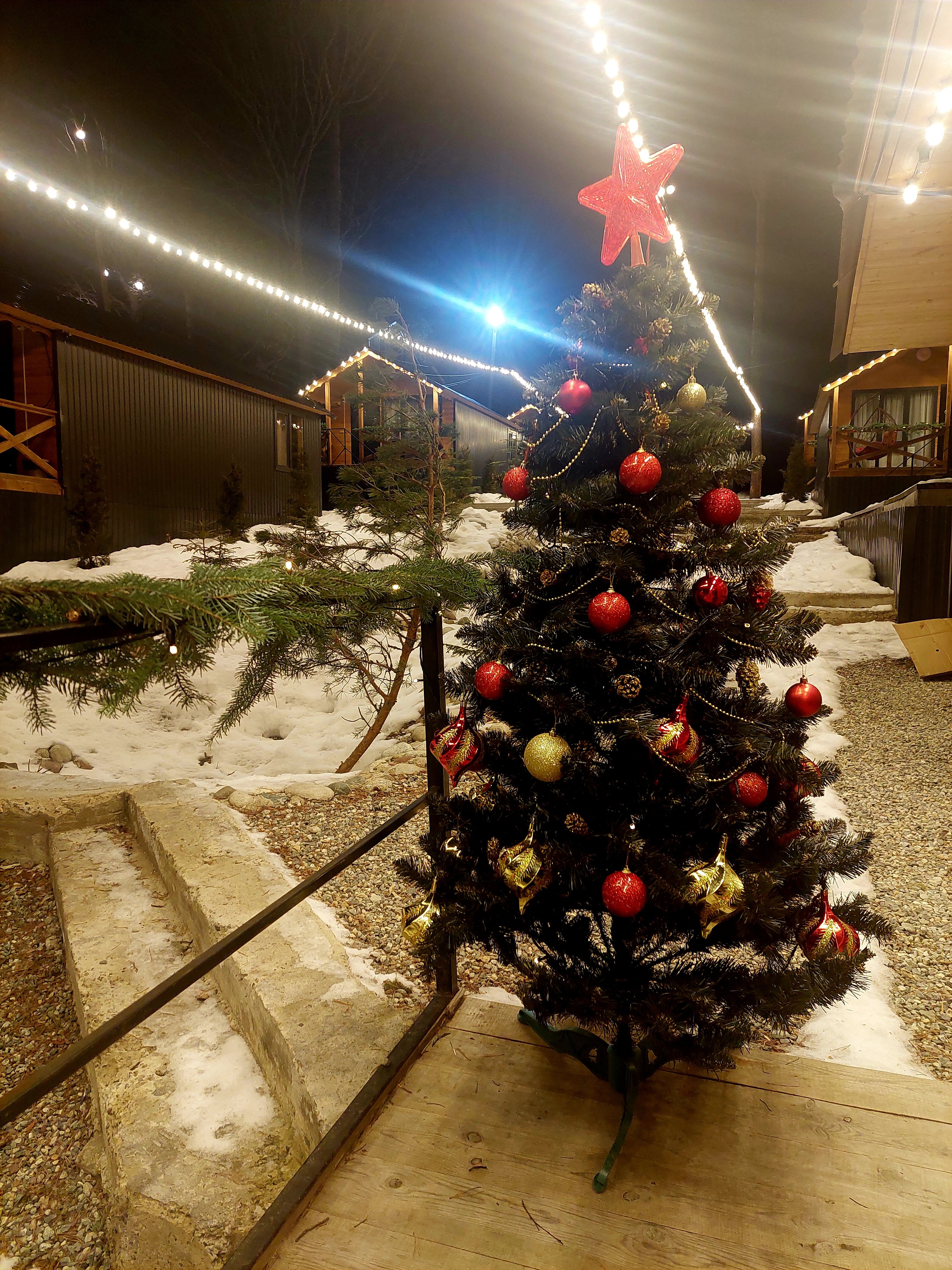 Фото Сосновка