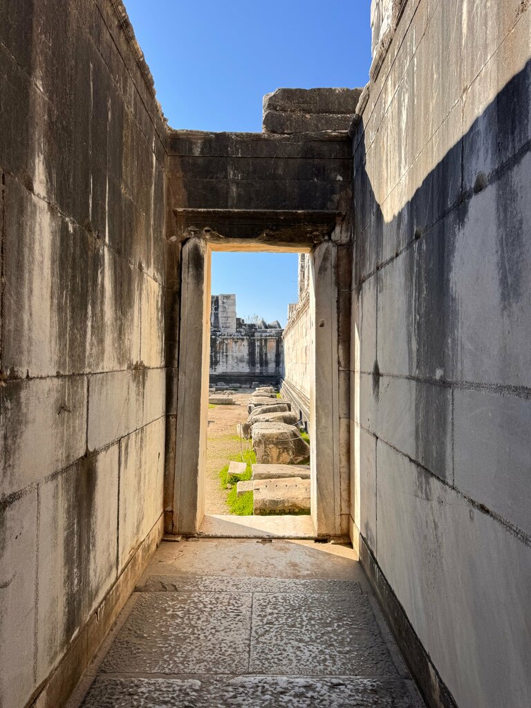 Restaurant Uğurlu Balık, Didim, photo