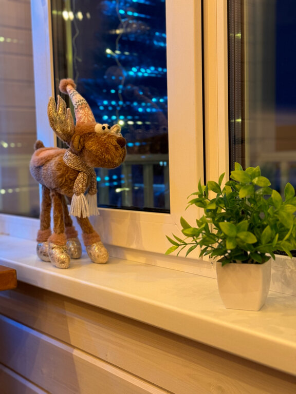 Фото Спящий залив