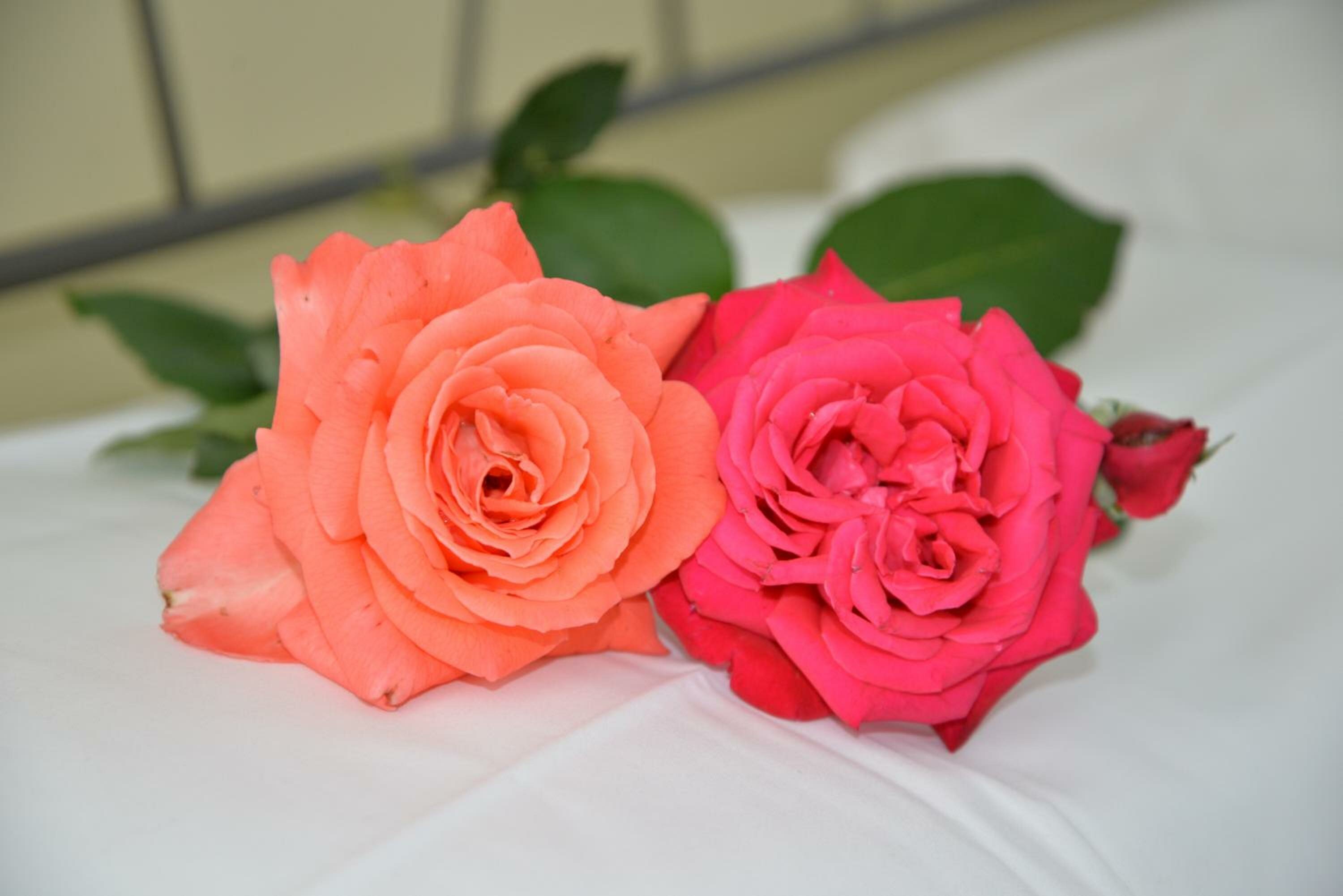 Фото Апарт-Отель Residence Le Corniole