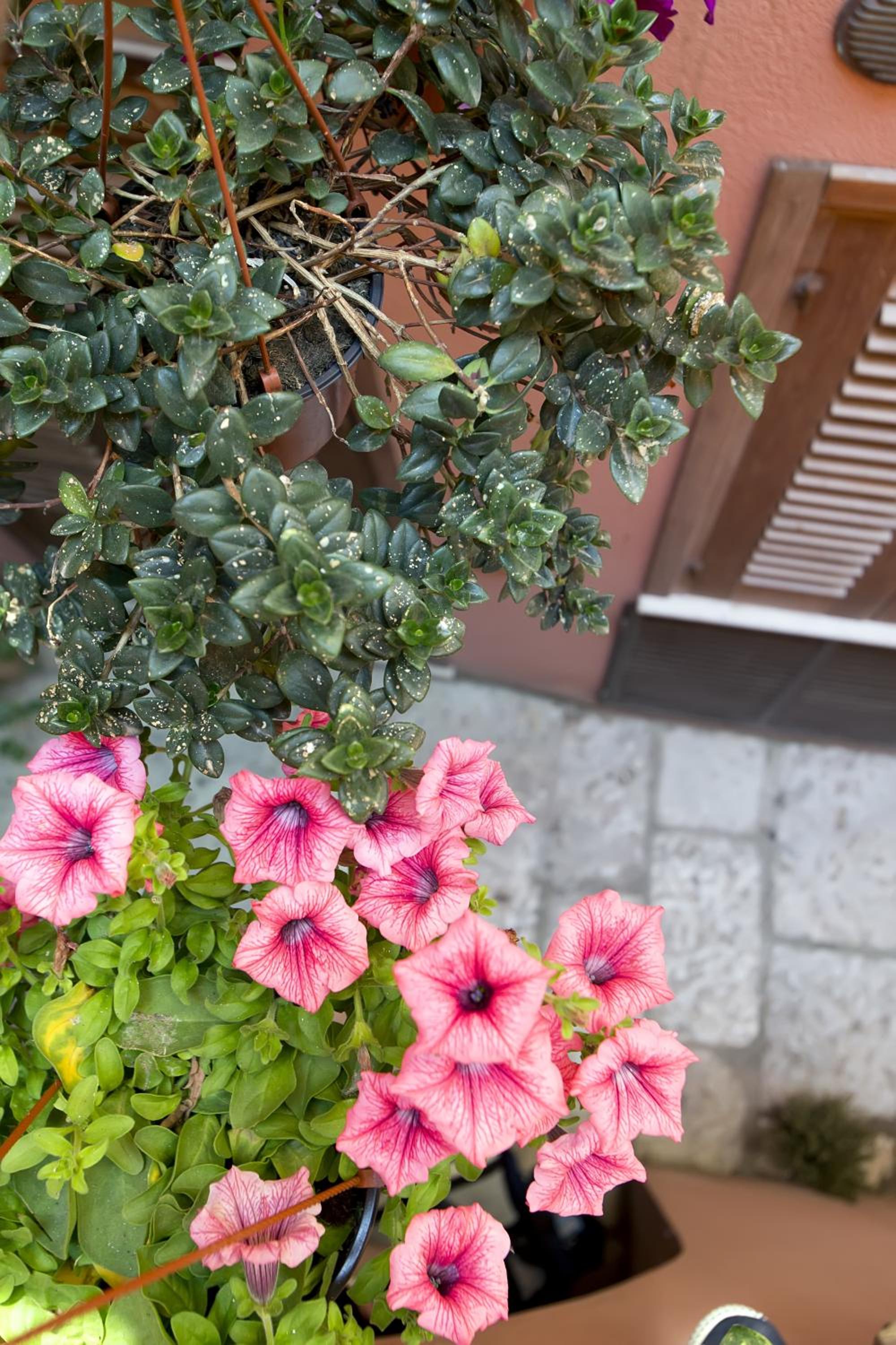 Фото Il Cortile Fiorito