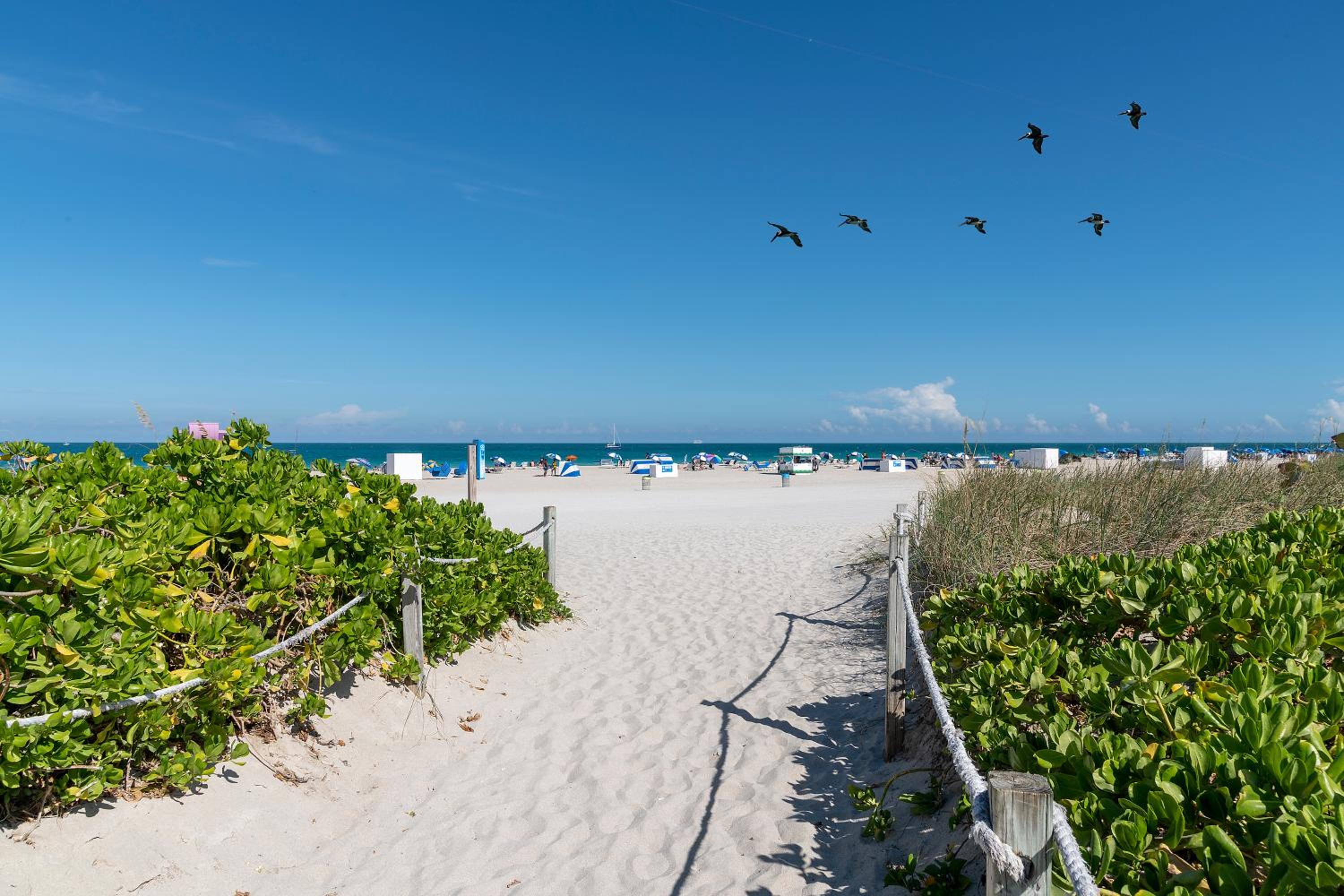 Фото President Villa