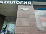 Sport in Krasnodar (Severnaya Street, 395) ، مكاتب وسائل الإعلام الجماهيرية