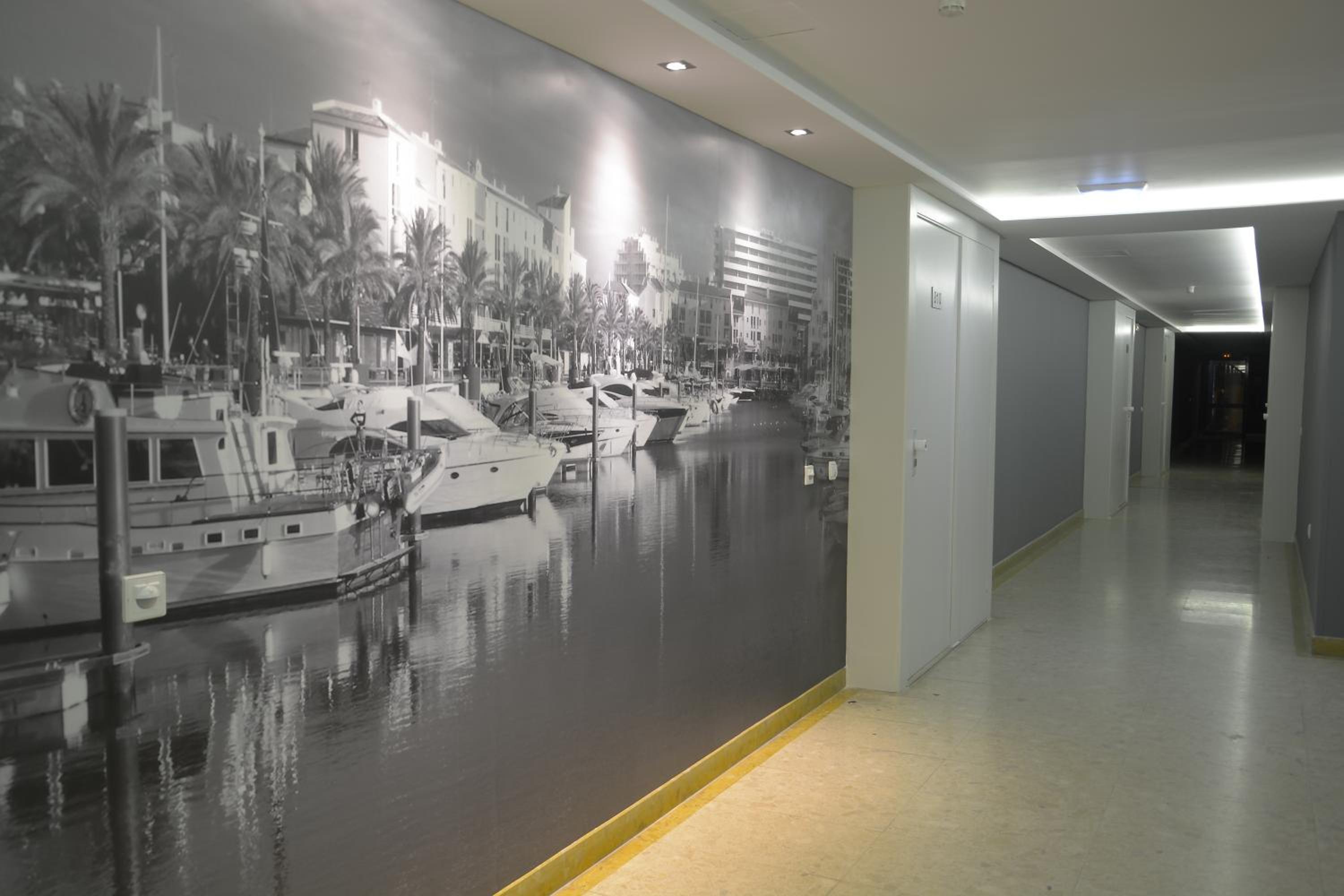 Фото Luna Olympus