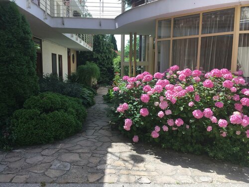 Гостиница Feng Shui Wellness Apartmanház