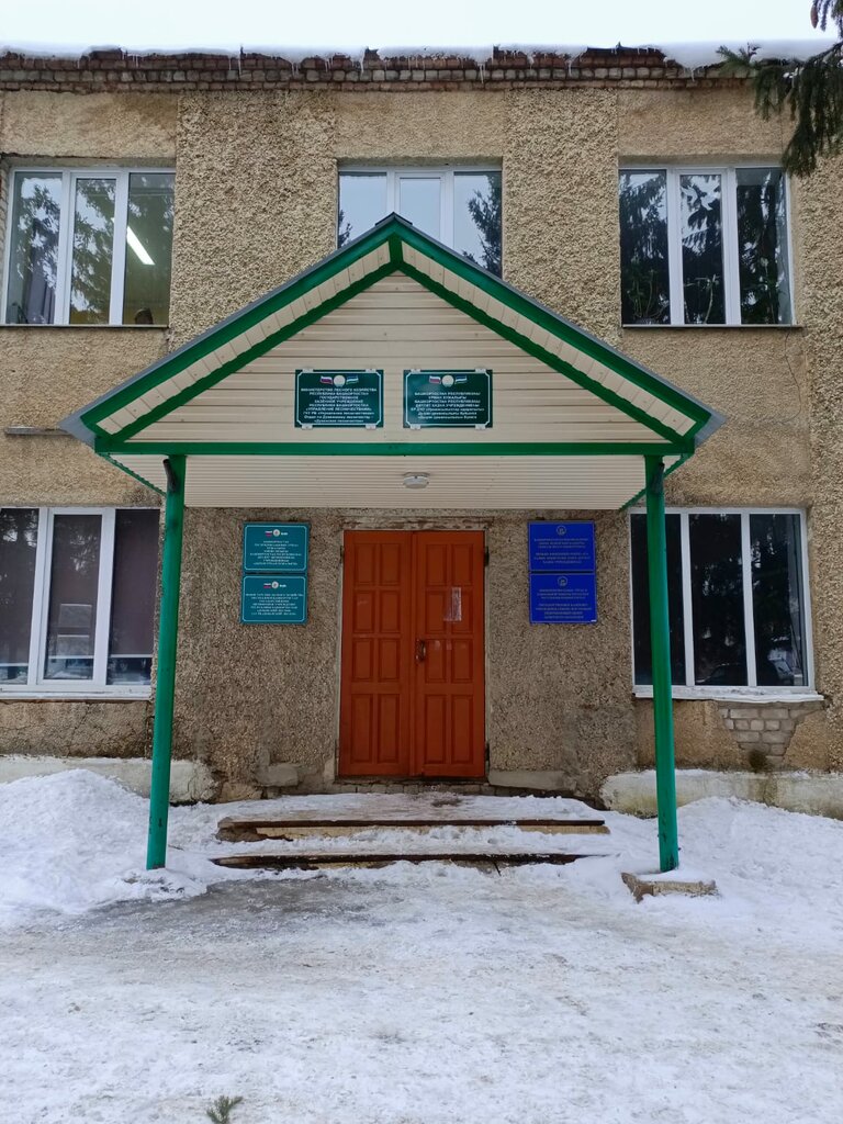 مركز توظيف Tsentr zanyatosti naseleniya Duvanskogo rayona, Gku ، جمهورية باشكورتوستان، صورة
