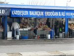 Brothers Fishing (Istanbul, Sariyer, Buyukdere Neighborhood, Democracy Martyrs Avenue, 1E), fish and seafood