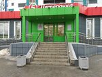 Yablon'ka (Village of Zasechnoe, Svetlaya Street, 13), confectionary