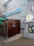 Пузыри (posyolok Yubileyny, Derzhavinskaya ulitsa, 4) ، حمام السباحة